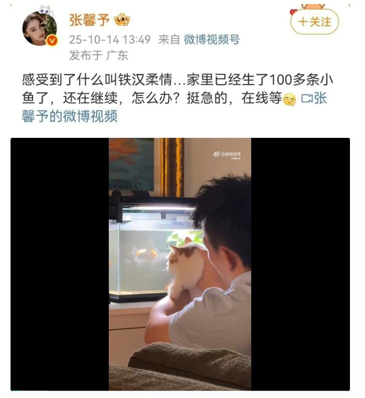 张馨予晒丈夫养鱼视频:家里生了100多条小鱼